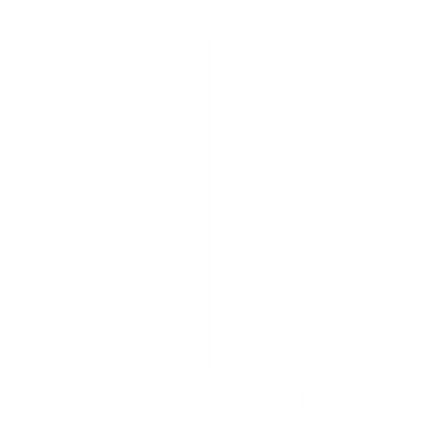 Spark of Life logo